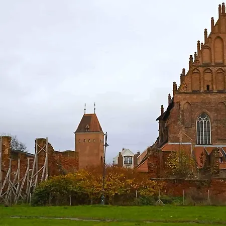Krzyzacki Zakatek - Na Starowce *